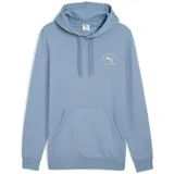 Puma Class Graphic Hoodie Tr Hoodies (1er Pack)