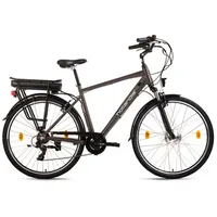 Hollandia Zagon 28 Zoll RH 53 cm Unisex grau