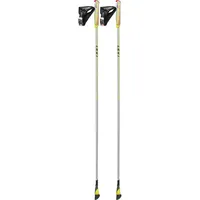 Leki Smart Carbon grau-weiss-grün-anthrazit 105