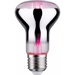 Paulmann, Pflanzenlampe, Pflanzenlampe (LED, 6.50 V)