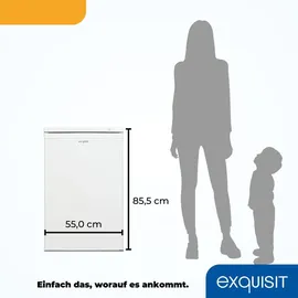 GGV Exquisit Exquisit Gefrierschrank, Tiefkühlschrank, 4-Sterne-Gefrieren, 91 Liter, Gefrierschrank klein, GS512-040E weiss