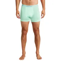 Icebreaker Merino 150 Anatomica Boxershorts - Mint - L