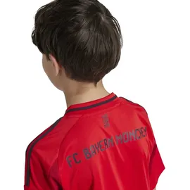 adidas FC Bayern München 24/25 Heimtrikot Kids Red 140