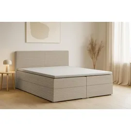 dein schlaf 24 BOXBETT LON III 160/200 in Cord Beige H4 - Beige