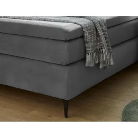 Jockenhöfer Chelsea 187 x 229 cm Grau