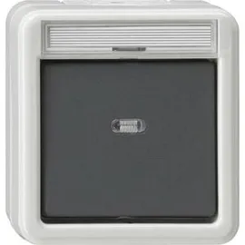 Gira 311230 Wipp-Kontroll Aus 2-p BSF WG AP Grau