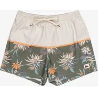 QUIKSILVER Herren Bermuda LIFEONREEF JAMV, BIRCH LIFE ON THE