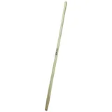 Floraworld Stiel 1500/38 mm Esche