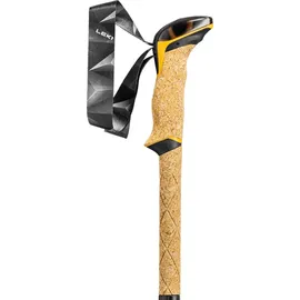 Leki Cressida FX Carbon AS 100-120 cm white-mango-silver