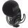 RØDE Microphones RØDE Stereo VideoMic Pro Ultra-kompaktes XY-Stereomikrofon für Videoaufnahmen und Content Creation