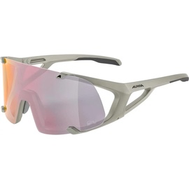 Alpina Hawkeye QV Sonnenbrille grau 2022 Brillen