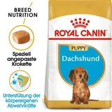 Royal Canin Dachshund Puppy Welpenfutter trocken für Dackel 1,5 kg Welpe Reis, Gemüse