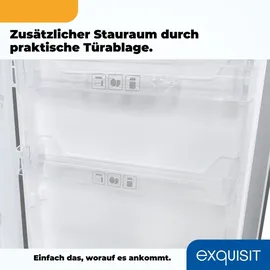 Exquisit KS16-4-HE-040D Kühlschrank (109 l, 850 mm hoch, Inoxlook)