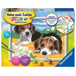 Ravensburger Malen-nach-Zahlen Jack Russel Welpen mehrfarbig