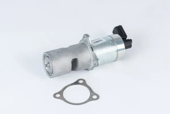 BORGWARNER AGR-Ventil 710951r für GM Volvo DACIA MITSUBISHI RENAULT
