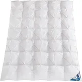 Haeussling Häussling Daunendecke Luxus Warm 135x200cm