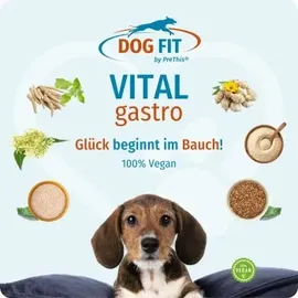 DOG FIT by PreThis VITAL Gastro Pulver 80 g