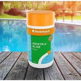 Steinbach Poolpflege Kristallklar Algezid 1 l, Aktivsauerstoff Poolchemie