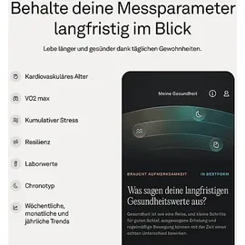 Oura Ring 5 Größe 8 Gold