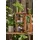 ib laursen Glasvitrine UNIKA 28 x 28 x 50 cm Braun