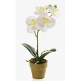 artplants.de Kunstblume Phalaenopsis Orchidee Seth im Dekotopf, Creme, 25cm - Deko Orchidee