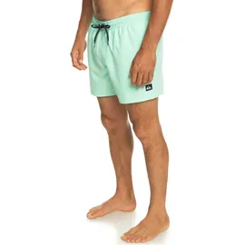 QUIKSILVER Everyday Volley 15" Badeshorts Beach Glass XS