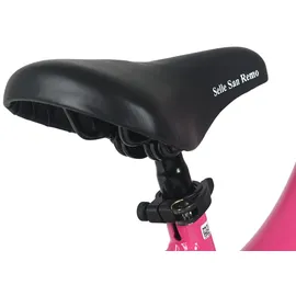 Dacapo Mistral 20 Zoll RH 27 cm pink