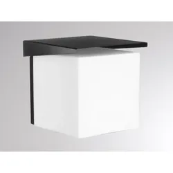 Molto Luce APUS (schwarz)