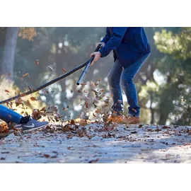 Nilfisk Buddy II 18 Inox