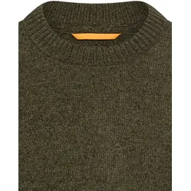 CAMEL ACTIVE Herren, Pullover grün