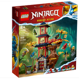 Lego Ninjago - Tempel der Drachenpower (71795)