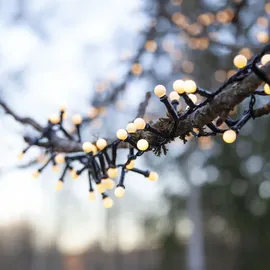 Star Trading LED-Lichterkette Berry Mini 6 m Schwarz Warmweiß