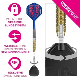 Target Darts Raymond van Barneveld G6 23 g