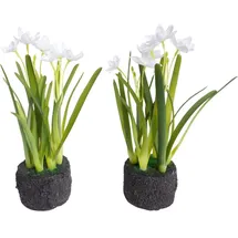 Botanic-Haus Nova-Nature künstliche Frühlingsblume Narzissen-Arrangement im Erdballen (2 Stück) (weiß)