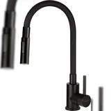 Deante LUNO Küchenarmatur 2 Strahlarten Schwarz
