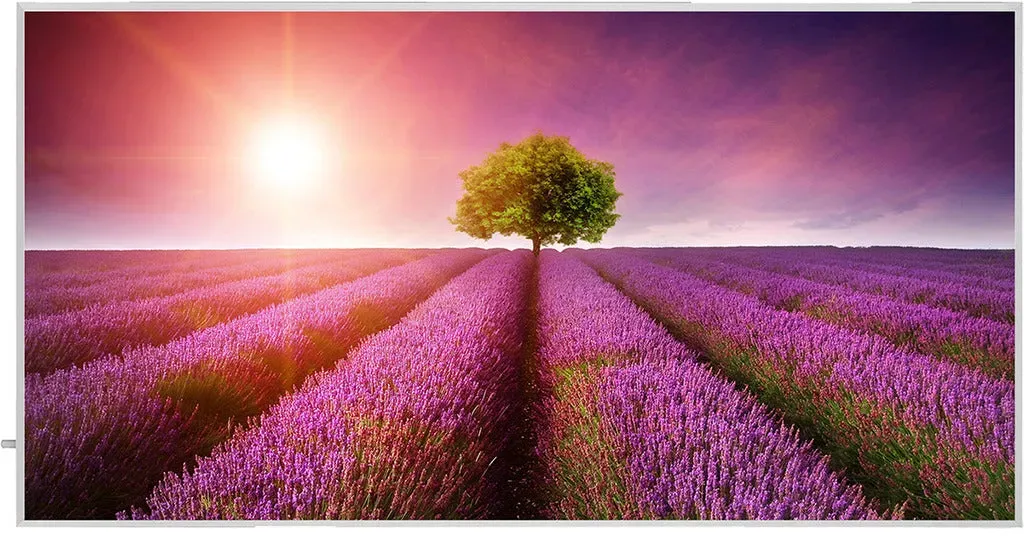 Infrarot-Heizpaneel mit Fotomotiv / Serie ECO -  Lavendel - Fotomotiv