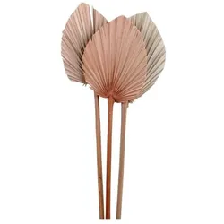 Chic Antique Fleur getrocknetes Palmenblatt, H40/L13 cm, natur