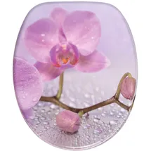 Sanilo Blooming rosa