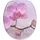 Sanilo Blooming rosa