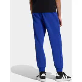 adidas Sportswear Sporthose M Z.N.E. PT blau XL