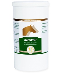 Vetripharm Ingwer Pulver 2000 g