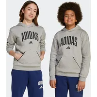 adidas Hoodie Grey 152