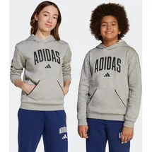 adidas Hoodie Grey 152