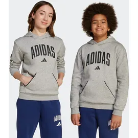 adidas Hoodie Grey 152