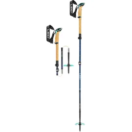 Leki Bernina FX Carbon Skistöcke (Größe 100-120cm, schwarz)