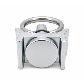 Preiswert & Gut 10x Airlineschiene Fitting 1 Zoll 25,4mm Zurröse Airline Schiene SWL/WLL daN 900