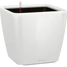 LECHUZA Quadro LS 21 Komplettset 21 x 21 x 21 cm weiß hochglanz