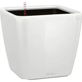 LECHUZA Quadro LS 21 Komplettset 21 x 21 x 21 cm weiß hochglanz