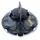 wybot Winny 200 Schwarz