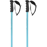 Head Worldcup Sl Skistöcke, Speed Blue/Black/White, 110